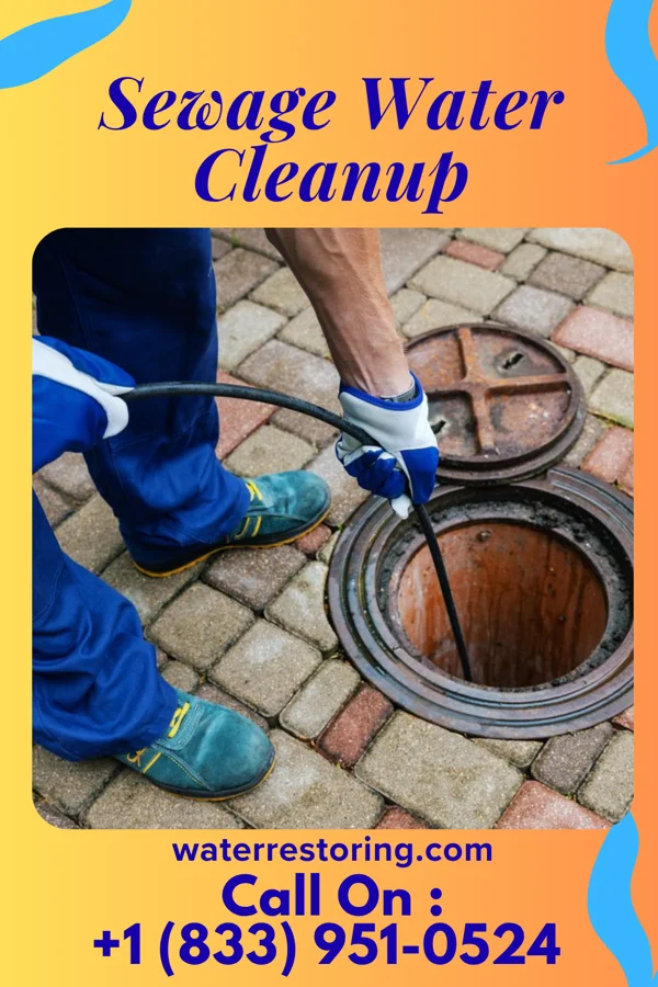 Sewage Water Cleanup in Monson, CA